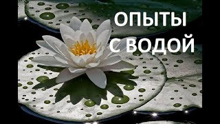 DIY//Опыт с водой. Как сделать водяную лилию" нимфа белая " Nymphaea
