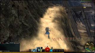 Guild Wars 2 BWE, Wanderers Corp [Winc] Человек страж