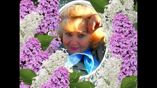 Белая сирень. Текст, музыка, исполнение Людмила Бабкина.  Аранжировка, исполнитель Игорь Дудин.