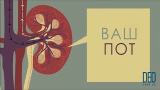 Odaban (Одабан) - самое эффективное средство от пота. Инструкция. DeoShop.kz