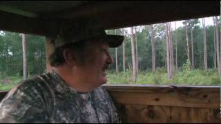 TWO SOUTH CAROLINA HOGS GO DOWN