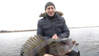 Рыбалка в Беларуси. Погостское водохранилище. Джиг. Окунь. Судак.\ Fishing for  perch.
