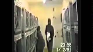 ANIMAL LIBERATION FRONT - THE SPARKLY CATS - LAST BREATH