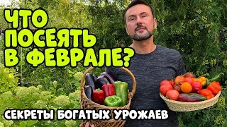 КАКИЕ ОВОЩИ ПОСЕЯТЬ В ФЕВРАЛЕ? СРОЧНО СЕЕМ ЭТИ КУЛЬТУРЫ!