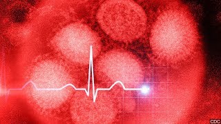 MN Flu Deaths Have Doubled This Season