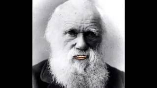 Travail sur Darwin en Sciences de la Vie et de la Terre - Classe de 3ème - Sainte Marie Nerondes