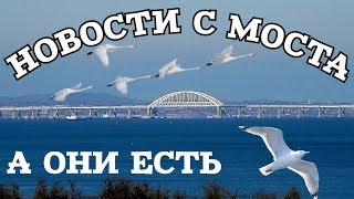 Крымский мост(март 2019) На Ж/Д мосту ЕСТЬ НОВОСТИ,на АРКЕ начали гидроизоляцию делать Наслаждаемся