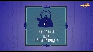 Рыбалка для начинающих с Евгением Антоником. Тема наживка.