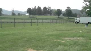 HDV 0130 MP4