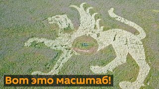 Огромный "снежный барс" появился на поле в Татарстане