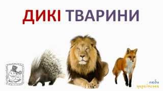 ? Дикі тварини для дітей. Назви тварин українською. Ukrainian for kids
