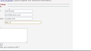 Form AutoSave-Google Chrome