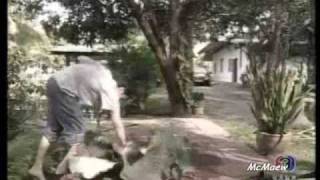 Ruen Mai See Beige 69