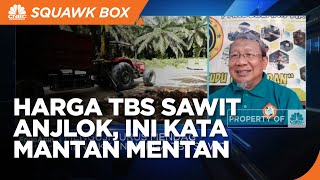 Mantan Mentan: Harga TBS Sawit Anjlok Efek Aturan DMO & DPO