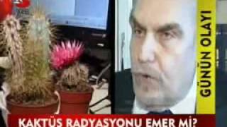 KAKTÜS RADYASYONU EMER Mİ?
