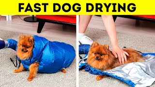 Cool Hacks And Gadgets For Pet Owners