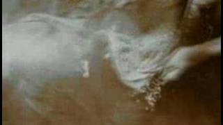 The Beloved - Sun Rising