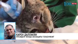 Происшествия дня 25.26.2018