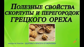 Удивительные свойства скорлупы грецкого ореха и способы ее применения