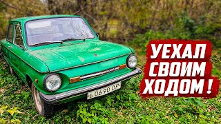 Я нашёл его! | Орловская область, Колпнянский р/н с.Тимирязево