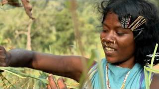 The Dongria Kondh tribe