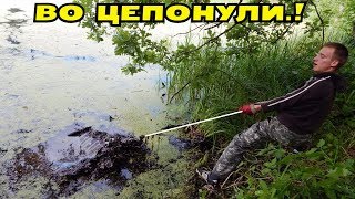 ТАКОЕ ЦЕПОНУТЬ ПОИСКОВЫМ МАГНИТОМ В БОЛОТЕ МЫ НЕ ОЖИДАЛИ! В Поисках Клада от Влада!