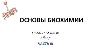 ОБМЕН БЕЛКОВ - часть 3 - Просто о сложном - Химия