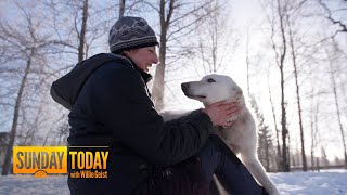 Iditarod Racer And Her #UglyDogs Become Internet Sensations | Sunday TODAY