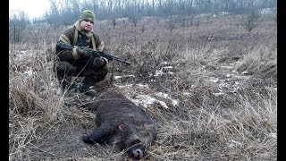 Загонная охота на кабана и косулю / Охота в России / #Охота / #Hunter / #Hunting