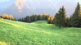 3.ULUSLARARASI KARADENİZ AİLE HEKİMLİĞİ KONGRESİ