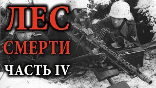 Лес смерти 4. Гнездо немецкого пулемётчика. Компактный бак и кожа 3 Рейха. Раскопки по войне