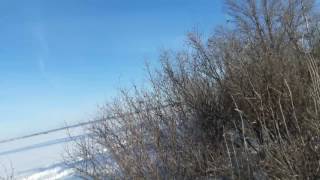 Охота гусь Воронеж 2017