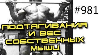 Подтягивания и вес собственных мышц. Турник и брусья для бодибилдера и турникмена