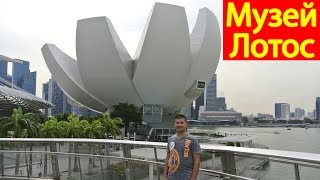 Музей искусства и науки в Сингапуре