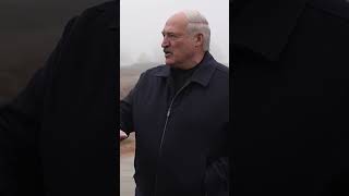 Лукашенко: Я снимаю с тебя законы, указы, распоряжения! Иди и строй по-хозяйски! #shorts
