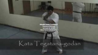 5 katas basicos