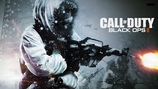 Call of Duty Black Ops II:Intel HD 4400/i3 1.70GHz(4005u)/4gb ram.