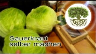 DIY - Sauerkraut selber machen - Naturrezepte #17