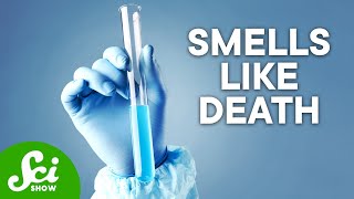 5 of the World's Most Dangerous Chemicals