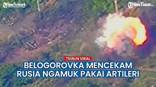 Makin Bar-bar, Artileri Rusia Bombardir Posisi Pasukan Ukraina di Belogorovka