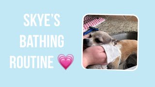 Skye’s bathing routine!