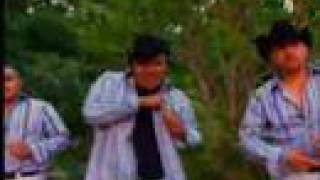 Alacranes Musical - Magdalena