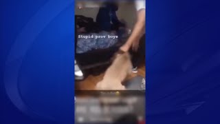 RISPCA dog abuse