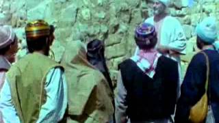 Toprağın Oğlu - Ebu Turab K.S. Hz. - Risale Forum