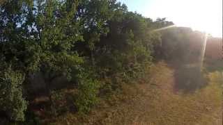 AQ50 pro - T-Motors 2216 900KV - GoPro HD2 1080p