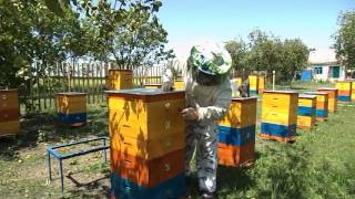 УДАЛИТЕЛЬ ПЧЁЛ ИЗ ТРУБКИ . REMOVER bees out of the tube.