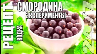 Рецепт. Эксперименты со смородиной. Водка