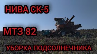 УБОРКА ПОДСОЛНЕЧНИКА 2019 | НИВА СК-5 | МТЗ 82