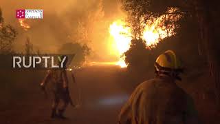 Spain: Hundreds of firefighters try to control fire in Azuebar after 500 hectares burned