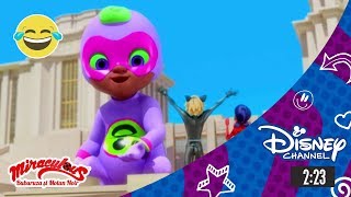 Miraculos: Buburuza și Motan Noir | Disney Channel România | Bebelușul GIGANTIC